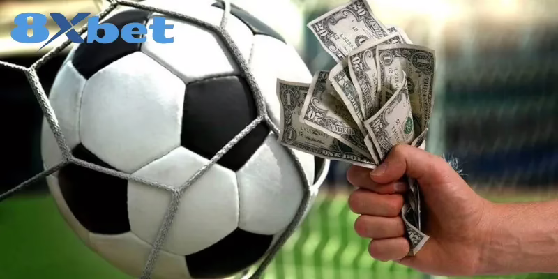 Cách Tính Tiền Thắng Cược Tại 8XBET Cực Chuẩn Và Minh Bạch 4 Yếu tố ảnh hưởng đến tiền thắng cược ở thương hiệu